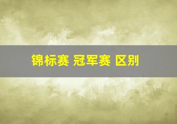 锦标赛 冠军赛 区别